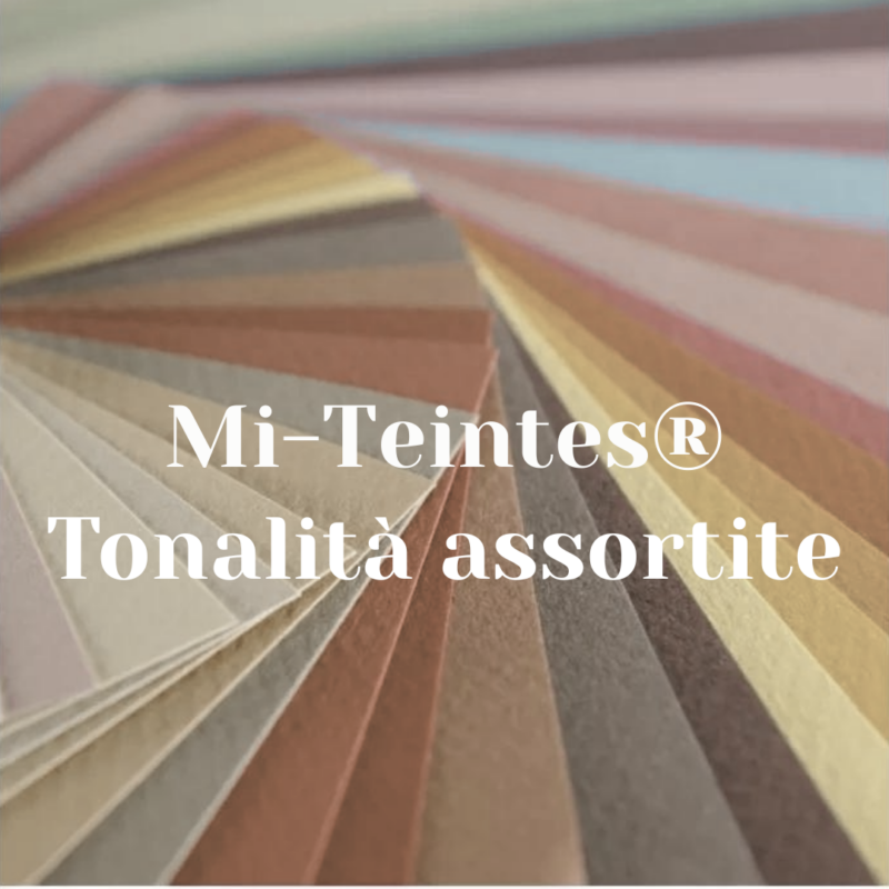 Carta colorata 50 x 65 cm Mi-Teintes® Canson 160gr. in confezioni assortite
