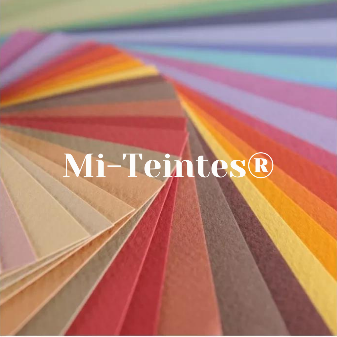 Carta colorata 50 x 65 cm Mi-Teintes® Canson 160gr. 1 Carta colorata 50 x 65 cm Mi-Teintes® Canson 160gr.
