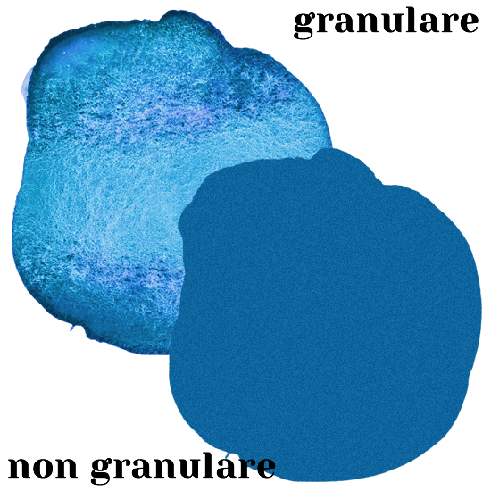 Simbologia 28 granulare 1